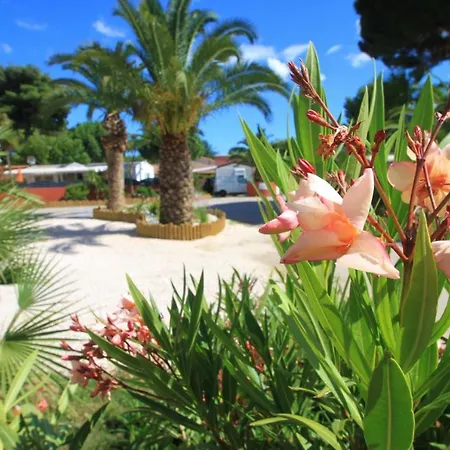 Del Mar Village Camping Argelès-sur-Mer