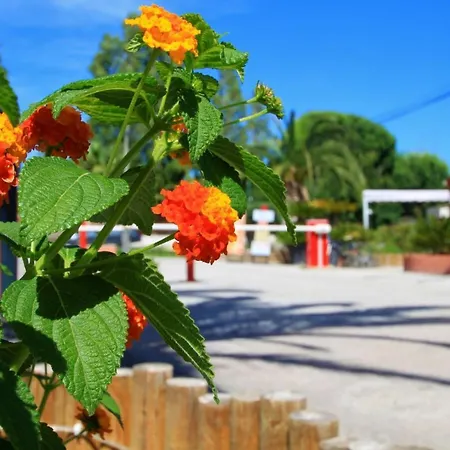 Del Mar Village